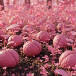 Vague de froid exceptionnelle entre Noël et le Nouvel An : la neige fait son grand retour en plaine