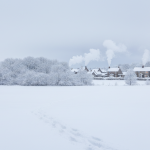 J’ai essayé cette recette de filet mignon : un succès tel que mes invités en redemandent à chaque fois !
