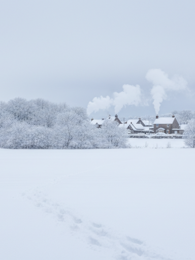 découvrez comment la vague de froid entre noël et le jour de l'an apporte un retour spectaculaire de la neige en plaine, transformant le paysage pour les fêtes.