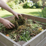 Oubliez la tarte aux pommes : découvrez la recette irrésistible de Julie Andrieu qui séduit les papilles