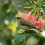 L’arbre fruitier méconnu qui cache des récoltes extraordinaires insoupçonnées