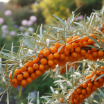 L’arbre fruitier méconnu qui cache des récoltes extraordinaires insoupçonnées