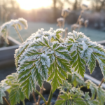 Le secret des experts pour une pâte à crêpes parfaitement lisse : un geste simple et infaillible