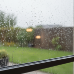 Nourrir les oiseaux : une erreur fréquente à la mangeoire qui cause chaque hiver de nombreuses victimes
