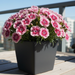 clichés irrésistibles de chats et chiens pour bien démarrer l&rsquo;année