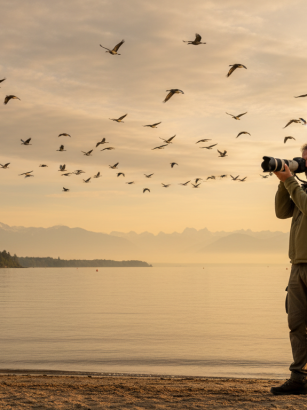 découvrez les magnifiques clichés de christophe qui immortalise la magie des oiseaux migrateurs sur les rivages pittoresques d’excenevex.