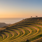 La méthode infaillible pour des gâteaux délicieusement moelleux à chaque fois