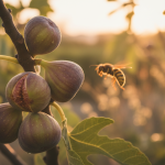 activités essentielles pour préparer votre potager aux premiers rayons du printemps !