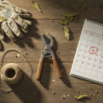 Le clafoutis ultra-rapide qui a transformé mes desserts d’hiver en famille : un succès garanti à chaque fois !