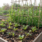 Permis de conduire : les seniors soumis à un renouvellement obligatoire tous les 5 ans — tout ce qu’il faut savoir