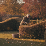 Clôture de saison : nourrissez vos oiseaux du jardin avec boules de graisse et graines