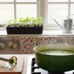 Frelon asiatique : découvrez l&rsquo;arbre fruitier qui l&rsquo;attire irrésistiblement dans votre jardin