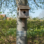« Sans leur protection, aucun oisillon ne prendrait son envol » : la Ligue de protection des oiseaux veille sur la biodiversité en Indre-et-Loire