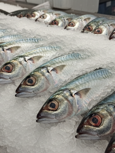découvrez ce poisson méconnu, plus économique que la sardine, qui mérite d'être ajouté à votre table pour sa saveur et ses bienfaits.
