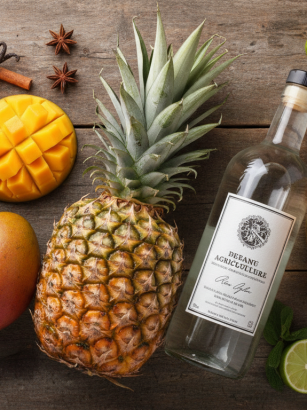 découvrez nos astuces et secrets pour réussir la macération de votre rhum arrangé maison et savourer un breuvage aux saveurs uniques et authentiques.